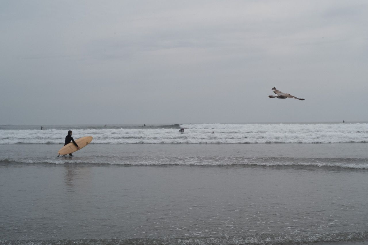 Nahant check