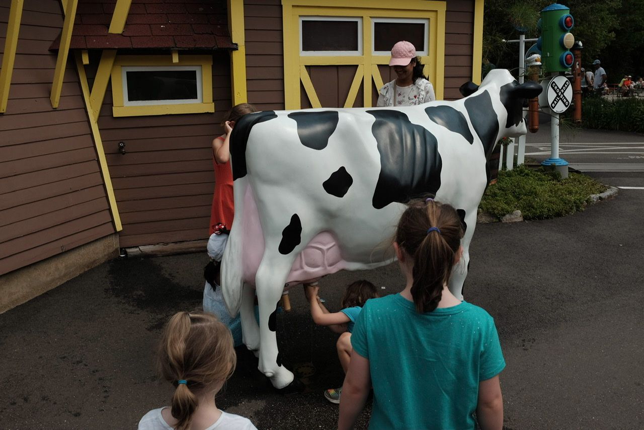Kids milking a plastic cow