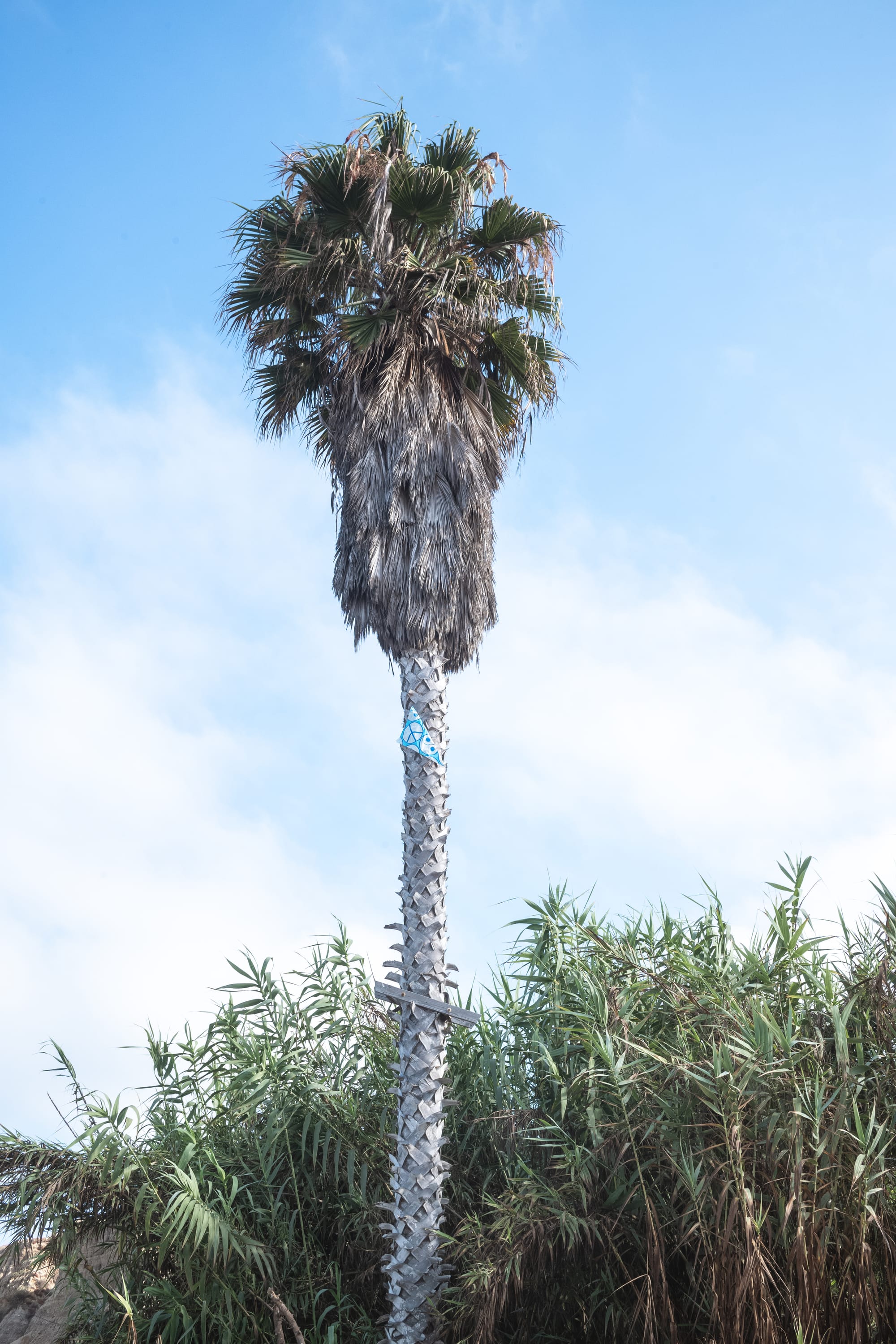 San Onofre